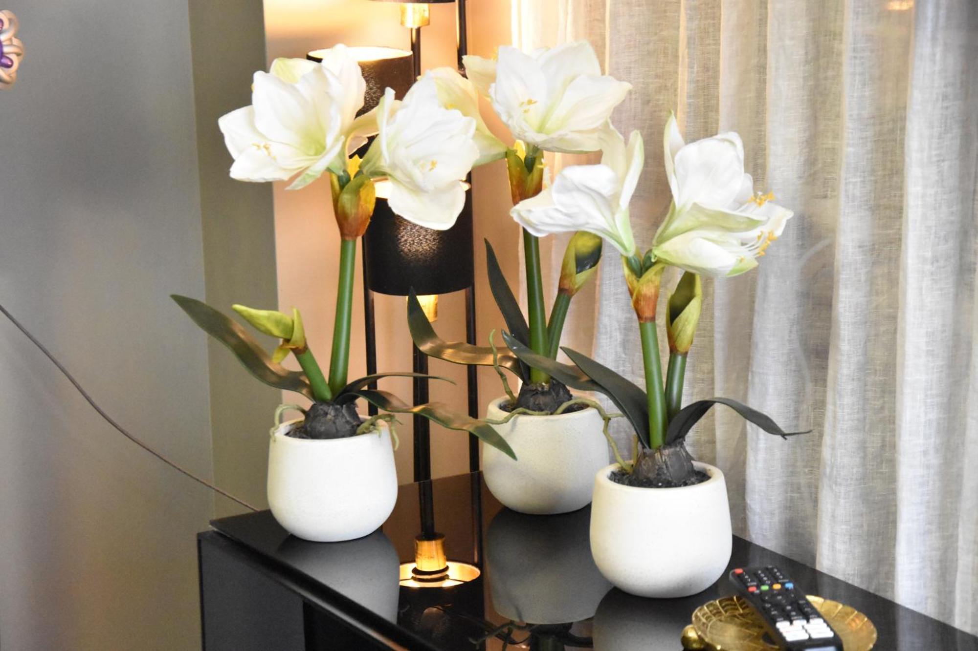 Diasof Apartments ローマ エクステリア 写真
