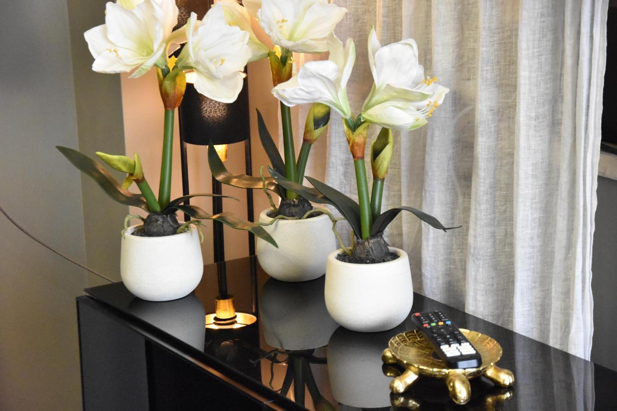 Diasof Apartments ローマ エクステリア 写真